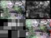 slide0295_small.jpg