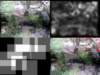 slide0300_small.jpg