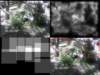 slide0403_small.jpg