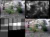 slide0428_small.jpg
