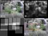 slide0463_small.jpg