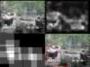 slide0892_small.jpg