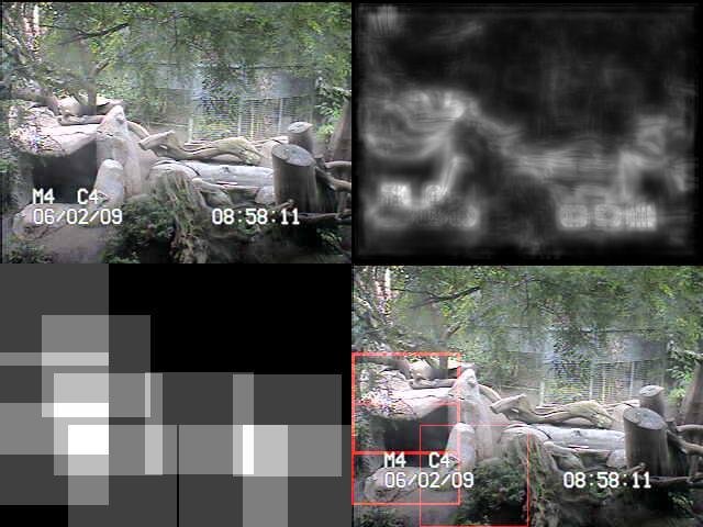 slide0895.jpg