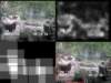 slide0912_small.jpg