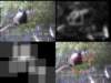 slide0999_small.jpg