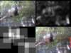 slide1002_small.jpg