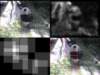 slide1065_small.jpg