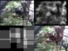 slide1085_small.jpg