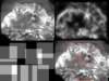 slide1241_small.jpg