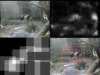slide1307_small.jpg
