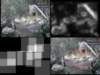 slide1546_small.jpg