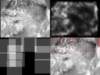 slide1606_small.jpg