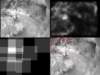 slide1644_small.jpg