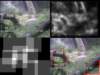 slide1811_small.jpg