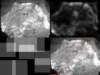 slide2609_small.jpg