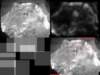 slide2610_small.jpg