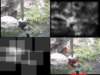 slide3260_small.jpg