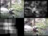 slide3268_small.jpg