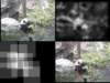 slide3272_small.jpg