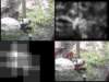 slide3274_small.jpg