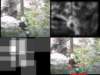 slide3278_small.jpg