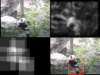 slide3279_small.jpg