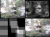 slide3283_small.jpg