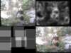 slide3284_small.jpg
