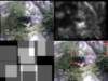 slide3347_small.jpg