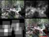 slide3407_small.jpg
