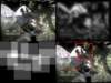 slide3497_small.jpg