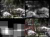 slide3557_small.jpg