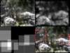 slide3560_small.jpg