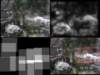 slide3562_small.jpg