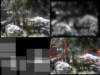 slide3563_small.jpg