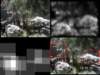 slide3565_small.jpg