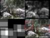 slide3567_small.jpg