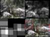 slide3568_small.jpg