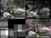 slide3569_small.jpg