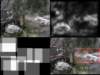 slide3571_small.jpg