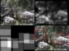 slide3572_small.jpg