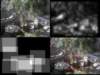 slide3637_small.jpg