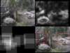 slide3645_small.jpg