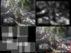 slide3654_small.jpg