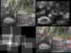 slide3695_small.jpg