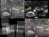 slide3718_small.jpg
