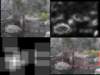 slide3723_small.jpg