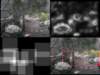 slide3736_small.jpg