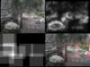 slide3755_small.jpg