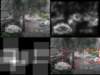 slide3756_small.jpg